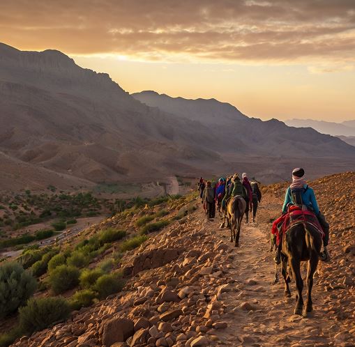 exploreinagadir Jebel Saghro